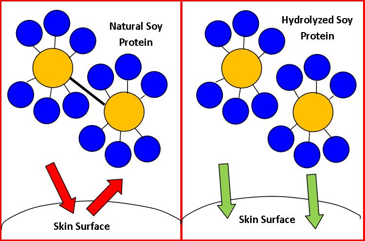 hydrolyzed protein2.jpg