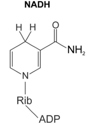 Nadh Nicotinamide Adenine Dinucleotide Disodium Salt