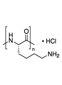  (E)-Polylysine HCL (Food Preservative, Water-Soluble)