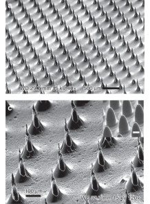 Microneedle Mold (12X12mm, H=550μm, 15X15, S=600μm, D=210μm)