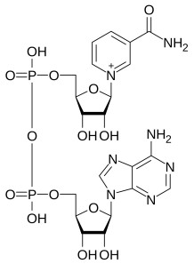 NAD+ (Nicotinamide Adenine...
