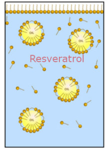  Micromul™ Resveratrol (Resveratrol microemulsion)