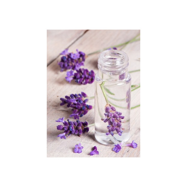 Lavender Water Lavender Water Lavender Water Lavandula Angustifolia