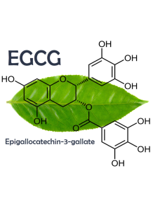  Micromul™ EGCG (Microemulsion Epigallocatechin Gallate)