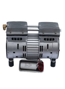  Oil-Free Pump (Classic silver gray motor 550W+plastic muffler)