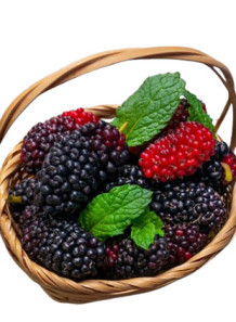  Mulberry Flavor (Oil-Soluble, Triacetin Base)