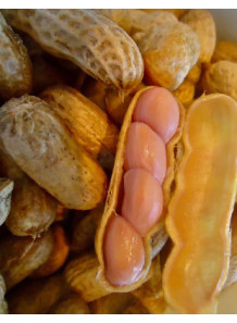  Fresh Peanut Flavor (Oil-Soluble, Triacetin Base)