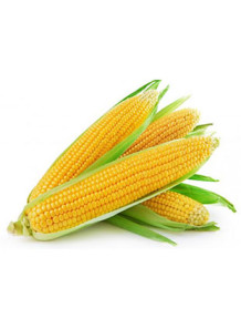  Sweet Corn Flavor (Oil Soluble, Vegetable Oil Base)