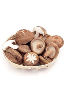  Shiitake Mushroom Flavor (Water & Oil Soluble, Propylene Glycol Base)