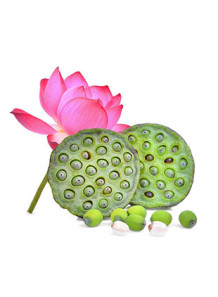  Lotus Seed Flavor (Water & Oil Soluble, Propylene Glycol Base)