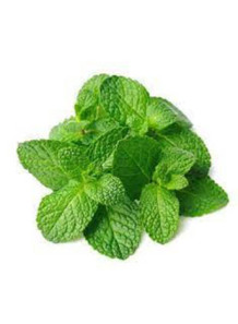 Cool Mint Flavor (Water...