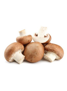  Mushroom Extract Flavor (Water Soluble Powder)