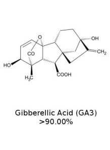 Gibberellic Acid (GA3 90%)