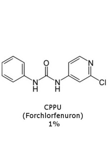 CPPU (Forchlorfenuron) 99%