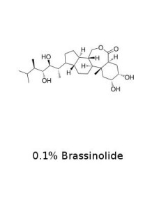  บราสสิโนไลด์ (Brassinolide) (0.1% Water Soluble)