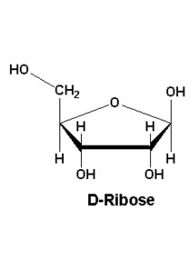  D-Ribose (97%)