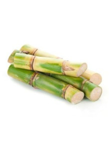  Sugarcane Extract (Policosanol 98%, Octacosanol 60%) สารสกัดจากอ้อย