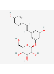 Pure-Polydatin™ (98%)