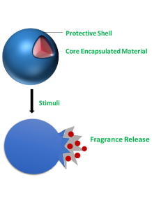  PolymerTec™ Fragrance (Encapsulation Service, Water Dispersible)