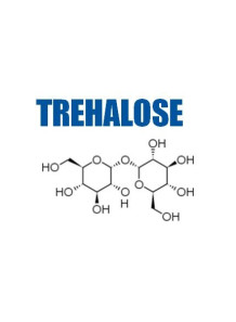 Trehalose (Powder) ทรีฮาโลส...