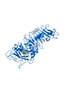 Serrapeptase (Serralysin,...