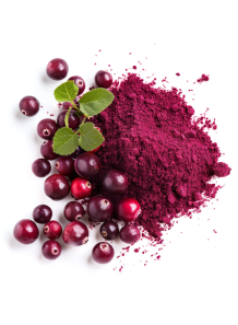  Cranberry Extract (25% Anthocyanins, Water-Soluble)