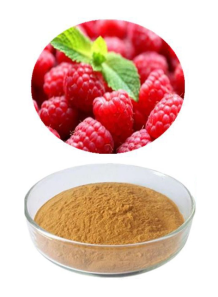  Raspberry Extract