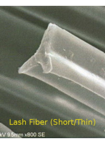  Lash Fiber (Short/Thin) (35mm, Triangular, 2mm)