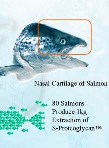  S-Proteoglycan™ Liquid (Salmon Cartilage Protein 10000ppm)