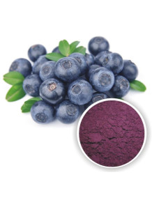  Blueberry Extract (Anthocyanin 25%) สารสกัดจากบลูเบอรี่