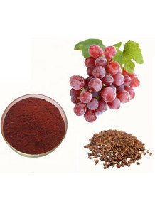  Grape Seed Extract (Proanthocyanidins 98%)