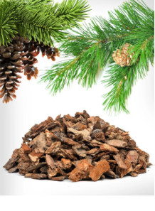 Pine Bark Extract...