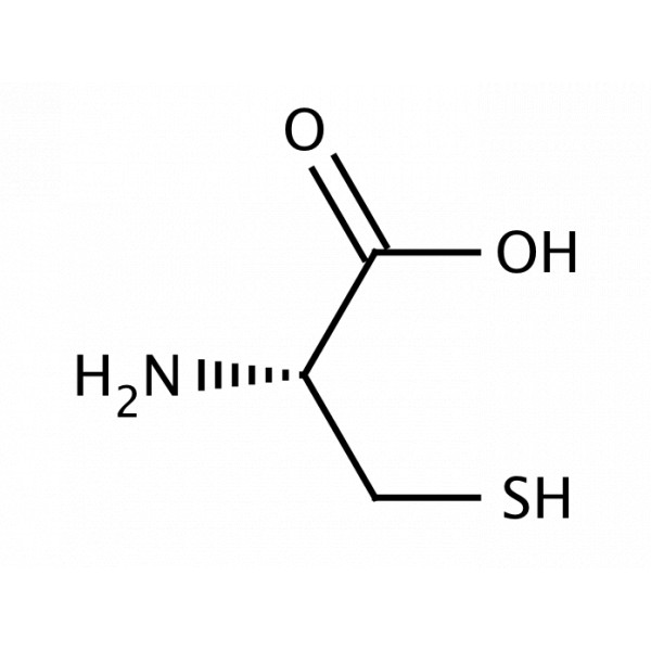 L Cysteine 100