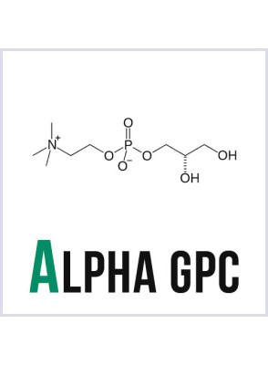 Alpha GPC (L-Alpha Glycerylphosphorylcholine)